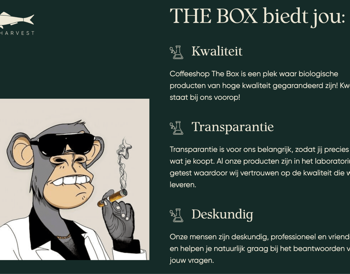 the-box Info Image