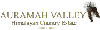 Auramah Valley