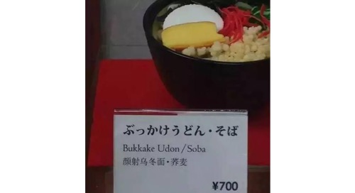 日本の変な中国語訳