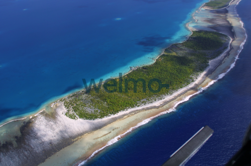 https://res.cloudinary.com/dkd0qir3y/image/upload/l_welmo-fr-text2,o_50/drfzvnn0wyrnqo0pzqh4.png
