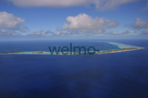 https://res.cloudinary.com/dkd0qir3y/image/upload/l_welmo-fr-text2,o_50/k8yuh0xfrd0xgh7uffzb.png
