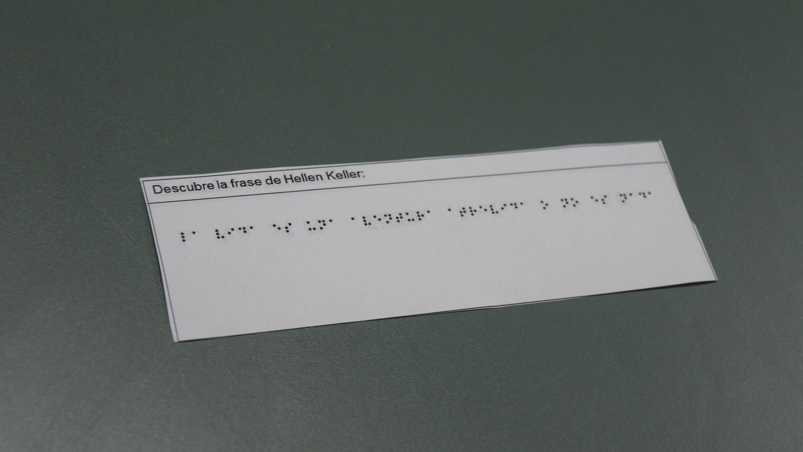 Fotografía por: Alma Álvarez