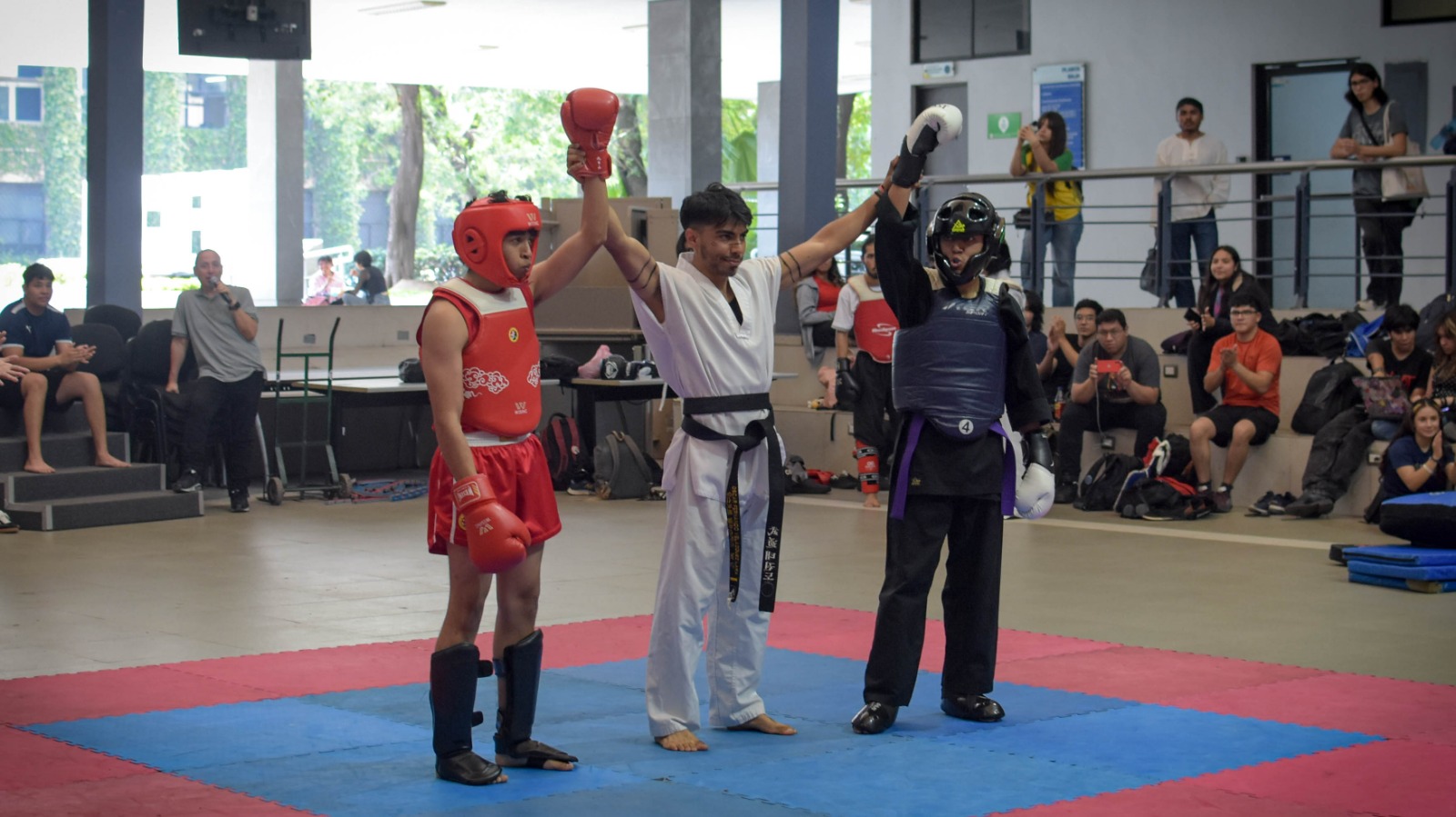 Exhibición de artes marciales