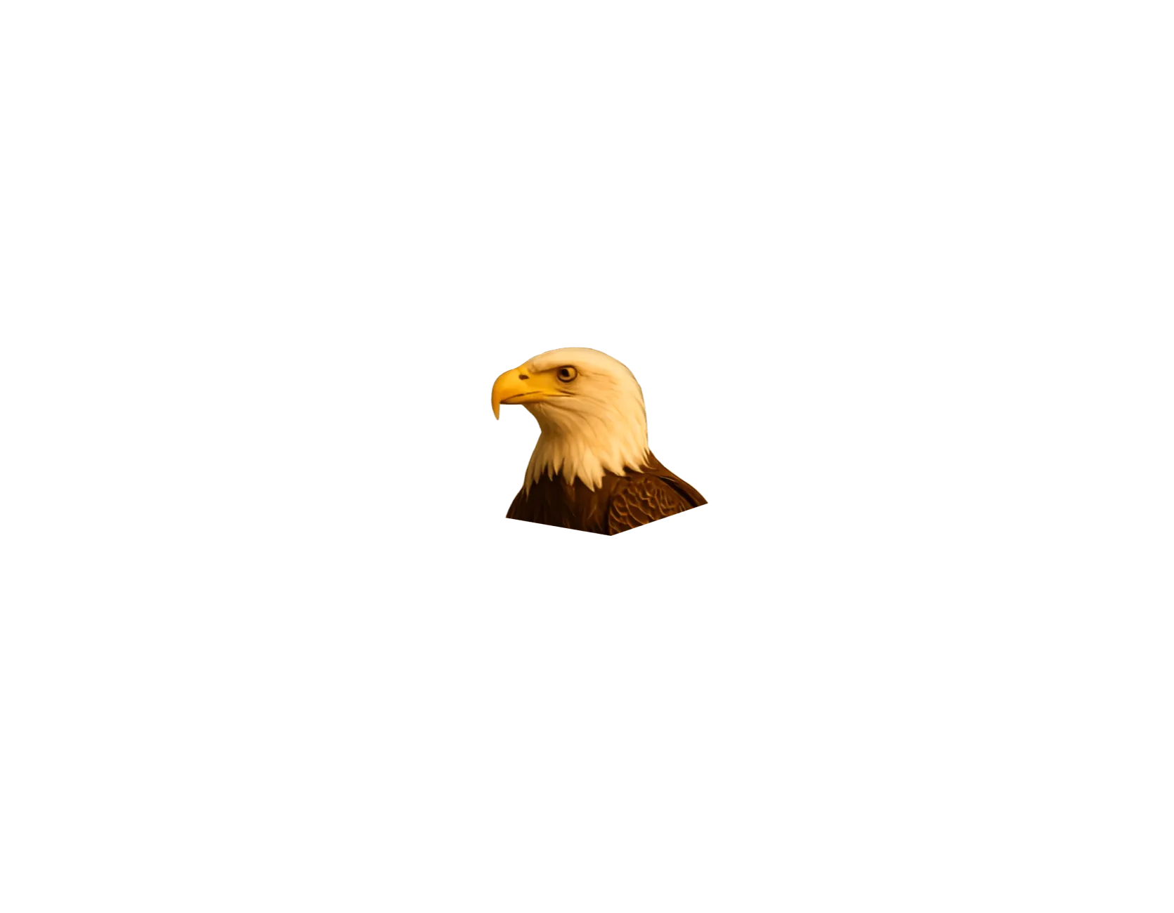 Eagle animation frame