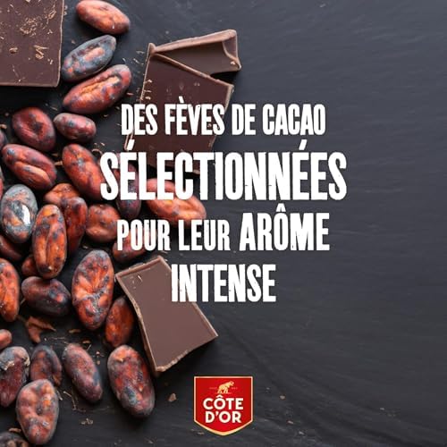 Vue 5 de Cote Dor Tablettes Cote