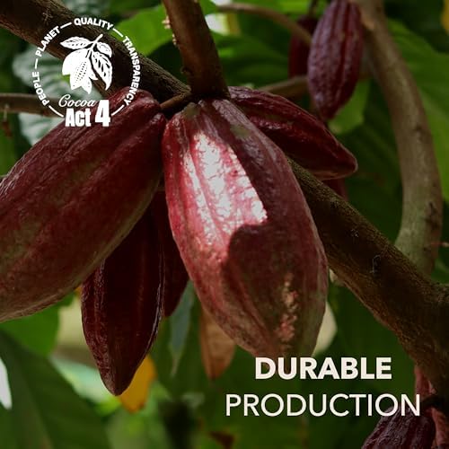 Vue 5 de Dolfin Assortiment Chocolat Tablette