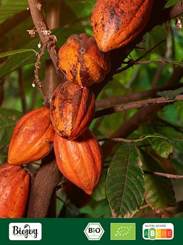 Vue 7 de Biojoy Poudre De Cacao