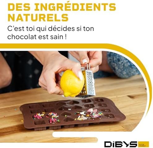 Vue 3 de Dibys Kit Diy Pour