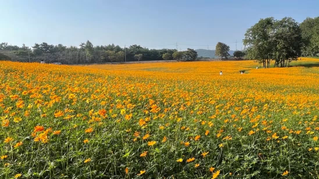Hakwon Farm