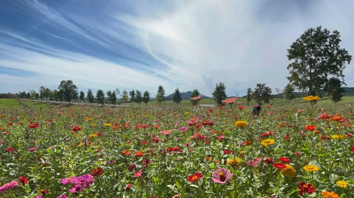 Hakwon Farm