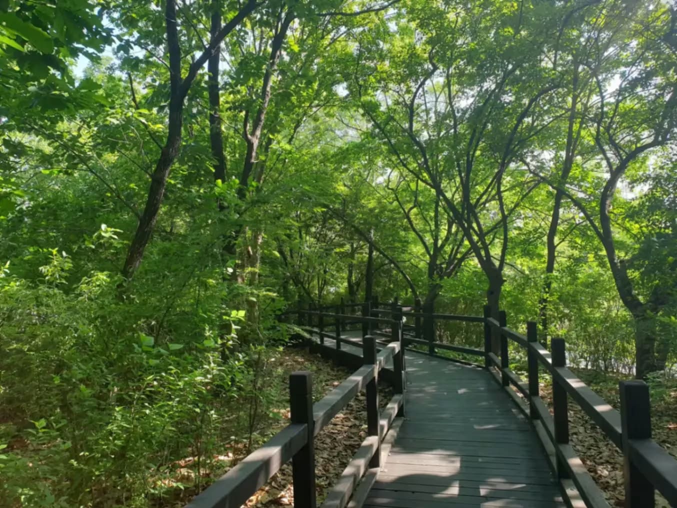 Yeouido Park