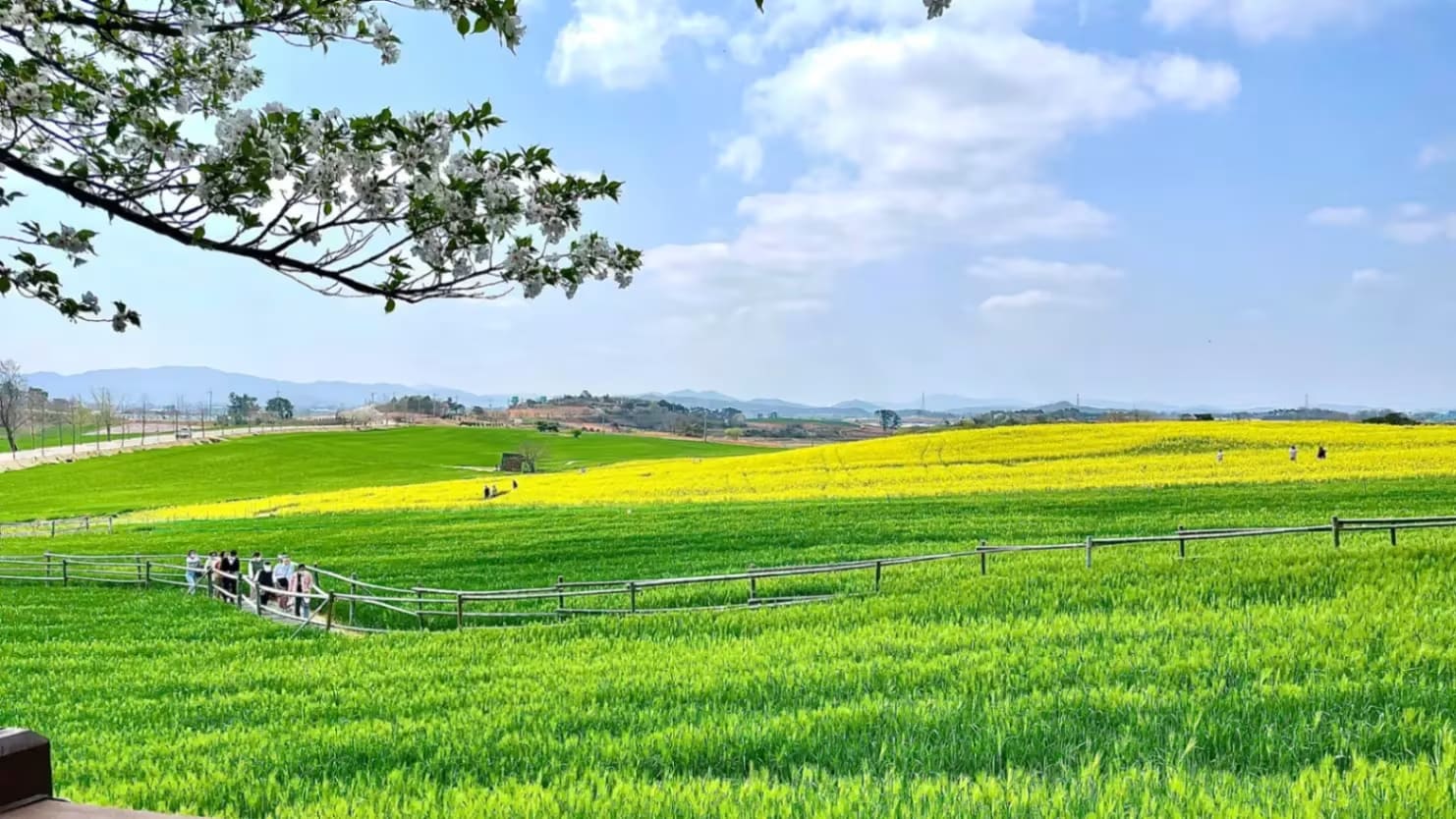 Hakwon Farm