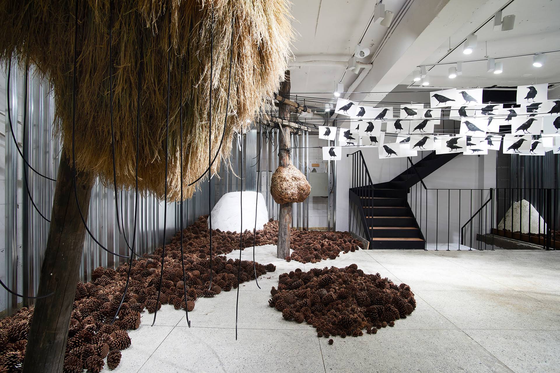 Gentle Monster Flagship Store Sinsa