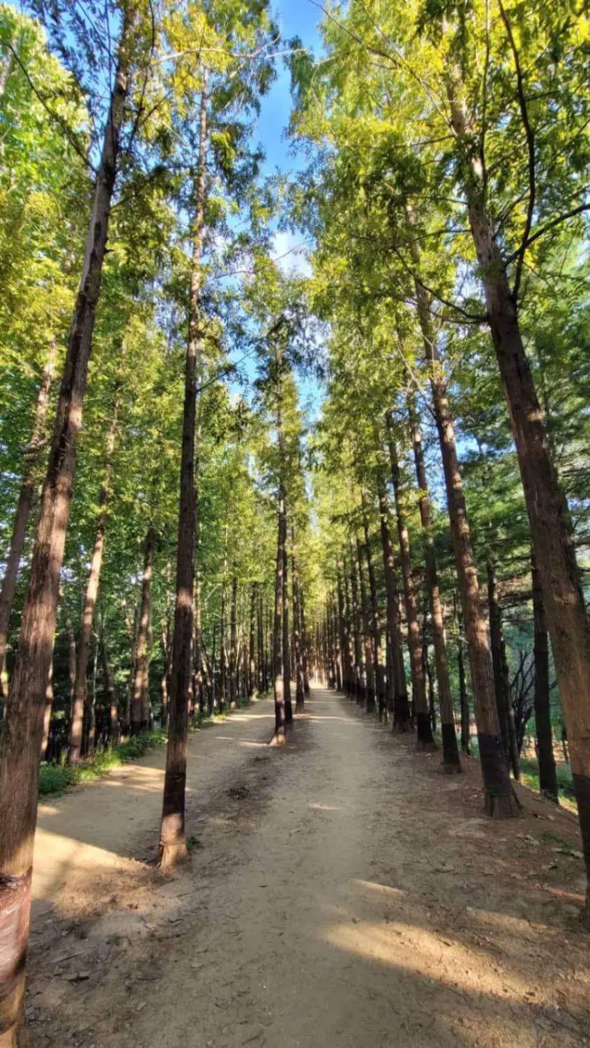Onggigol Neighborhood Park