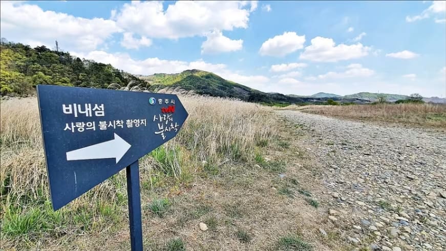 Binaeseom