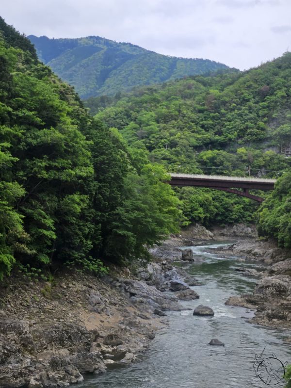 The link to the image is broken, check the filename