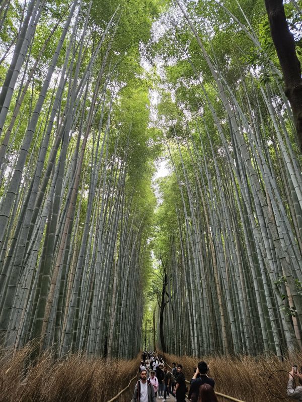 The link to the image is broken, check the filename