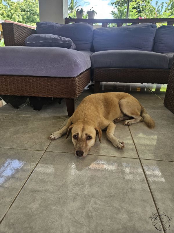 The link to the image is broken, check the filename