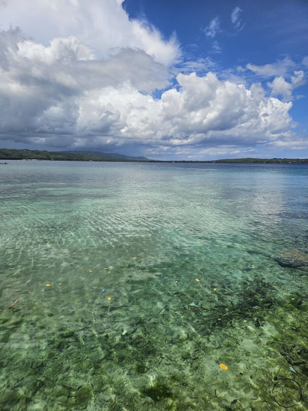 The link to the image is broken, check the filename