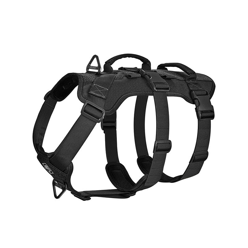 OneTigris Escape Proof