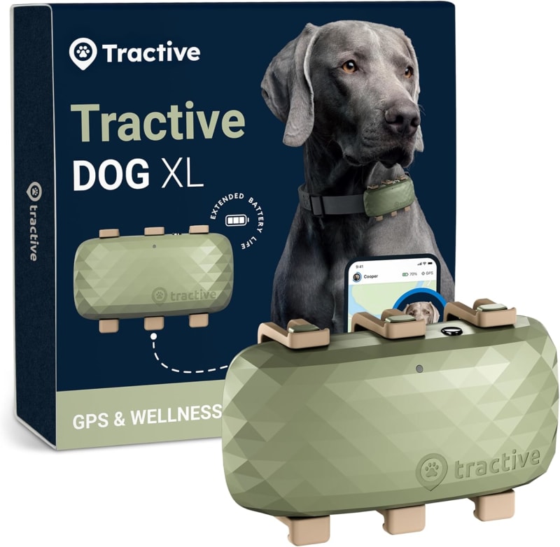 Tractive DOG XL