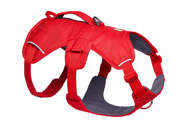 Ruffwear Web Master