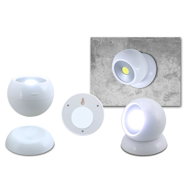 1667-לייט בול