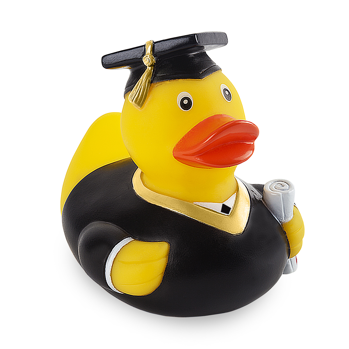 ברווז פרינסטון - תמונה 2