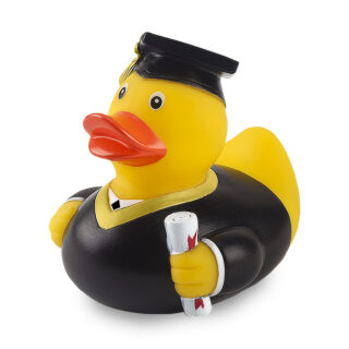 ברווז פרינסטון - תמונה 3