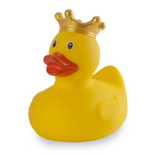 "ברווז "אלכסנדר הגדול - תמונה 4