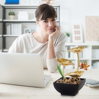 מפל מים שולחני – יוסמיטי - תמונה 4