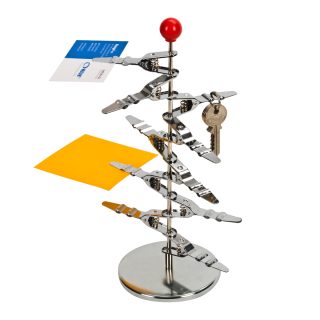 עץ אטבים מועצבים – מגנוליה - תמונה 3