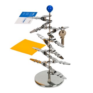 עץ אטבים מועצבים – מגנוליה - תמונה 4