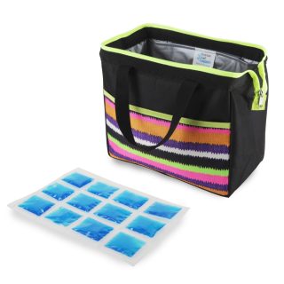 צידנית אוכל עם קרחונים – וישי - תמונה 3