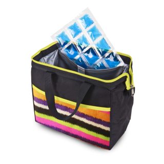 צידנית אוכל עם קרחונים – וישי - תמונה 4