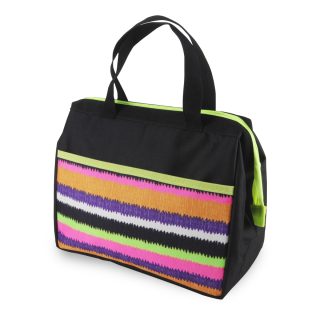 צידנית אוכל עם קרחונים – וישי - תמונה 5