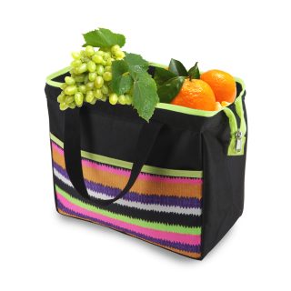 צידנית אוכל עם קרחונים – וישי - תמונה 7