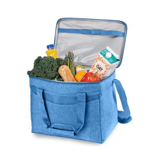 תיק צידנית 25 ליטר – ארטיק - תמונה 8