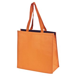 תיק קניות, צידנית  – סניק - תמונה 4