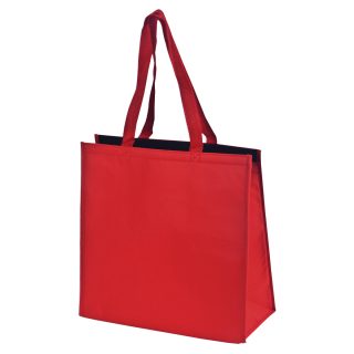 תיק קניות, צידנית  – סניק - תמונה 5