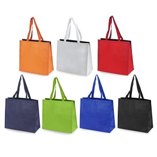 תיק קניות, צידנית  – סניק - תמונה 10