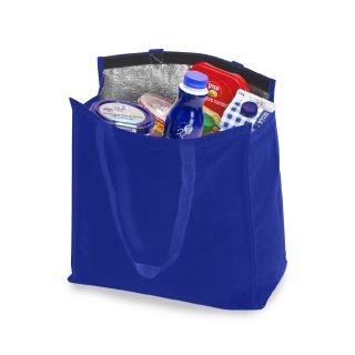 תיק קניות, צידנית  – סניק - תמונה 11