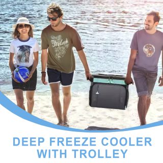 צידנית טרולי  40 ליטר – לפלנד - תמונה 17