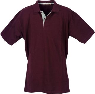 חולצת לקוסט – בוס - תמונה 4