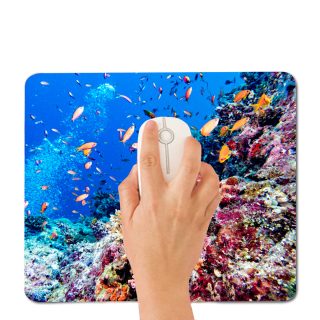 משטח לעכבר מחשב – סופט - תמונה 4