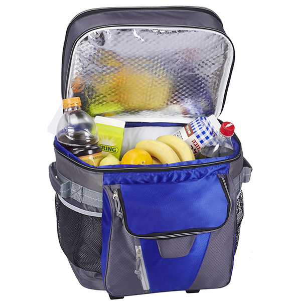 צידנית טרולי 45 ליטר משפחתית - תמונה 2