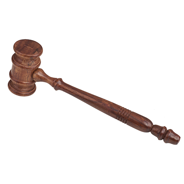 פטיש מנהלים | שופטים - תמונה 3