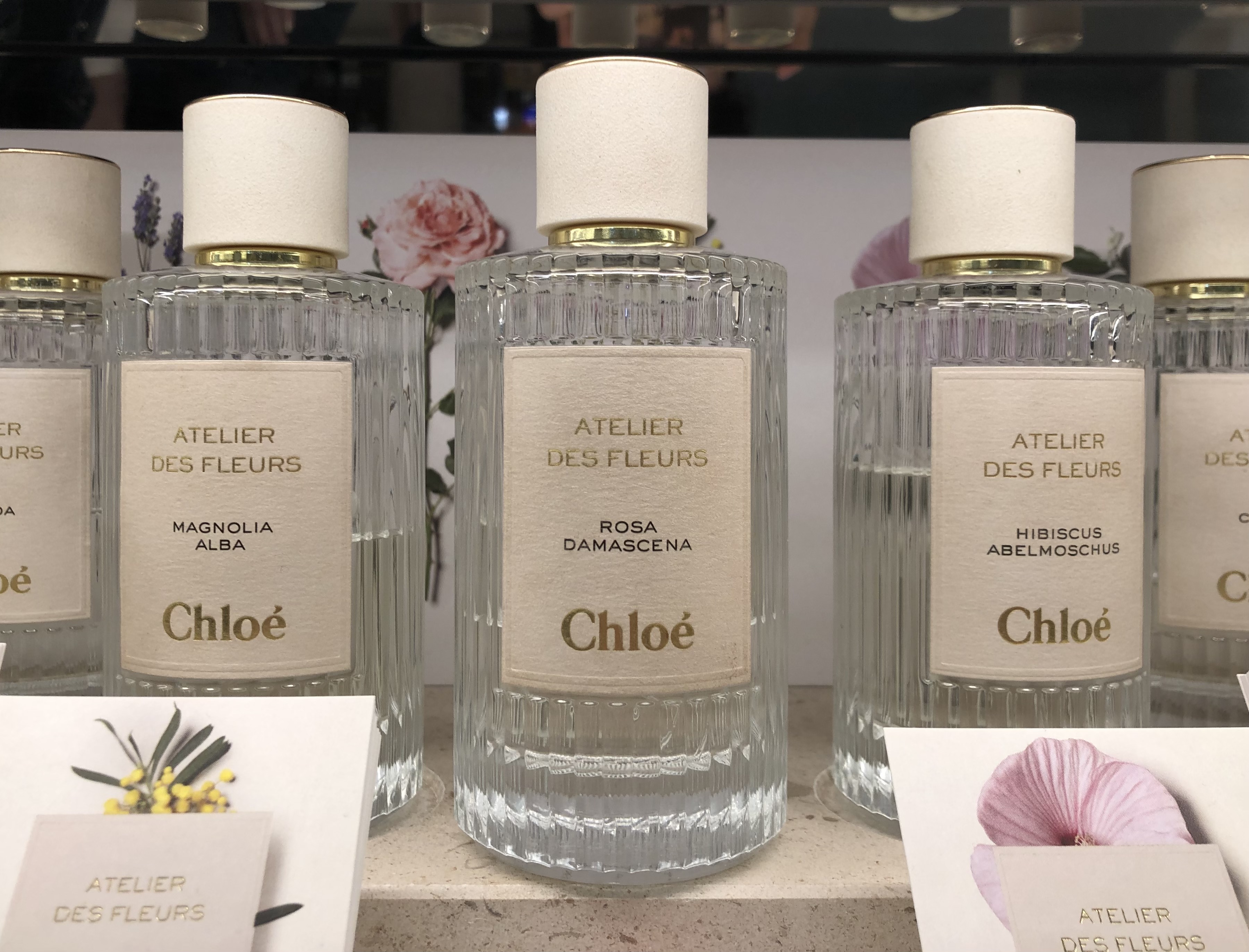 『Chloe(クロエ)』の新シリーズ!バラの女王「Rosa damascena(ロサ・ダマスケナ)」の香りとは