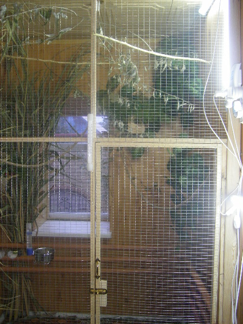 Вольеры для различных видов астрильдовых. - АМАДИНЫ, КАНАРЕЙКИ И ДРУГИЕ ...