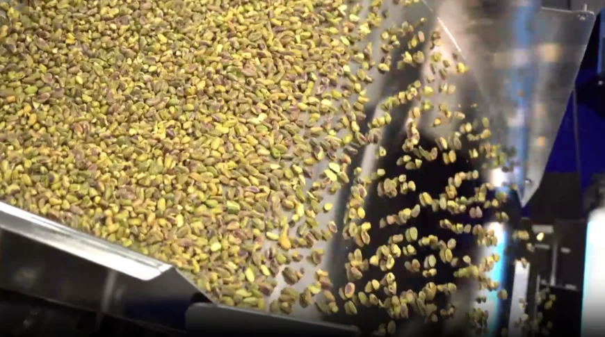 Pistachos en una clasificadora óptica industrial asistida por inteligencia artificial